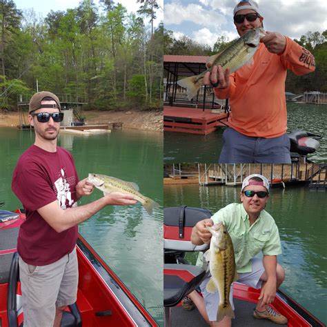 Lake Blue Ridge Fishing