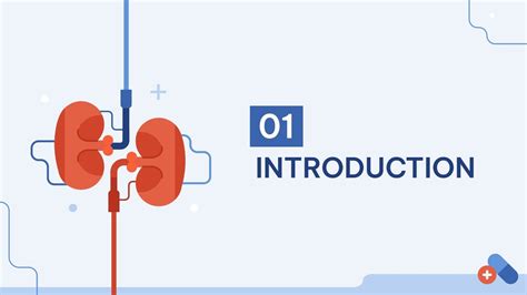 Hemodialysis Breakthrough | Google Slides & PowerPoint