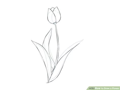 How to Draw a Flower: 10 Easy Guides for Kids & Beginners | Easy flower ...