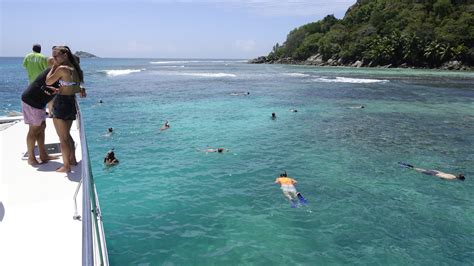 Snorkeling in Seychelles | Spectacular Marine Life, Clear Waters