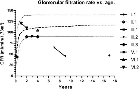 GFR versus age. The reference range presented as dotted lines and ...