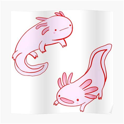 "Pink axolotls drawing" Poster for Sale by Mayarart | Redbubble