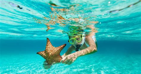 Snorkeling Meaning; How to Snorkel, Snorkeling Gear & Best Places for Snorkeling in India