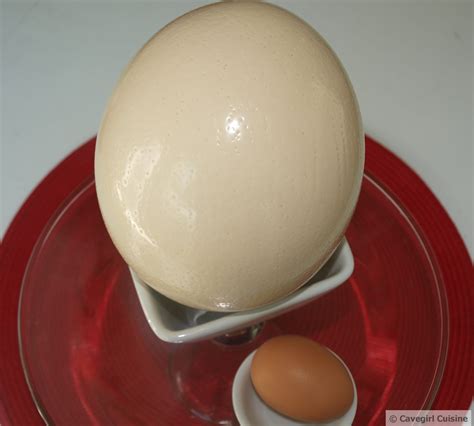 Ostrich Egg - Paleo Recipes - Cavegirl Cuisine