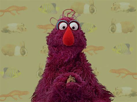 Elmo's World: Pets | Muppet Wiki | Fandom powered by Wikia