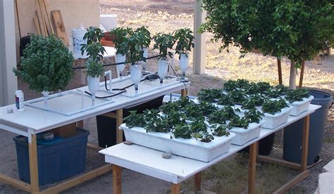 Free Build your own Hydroponic System plans