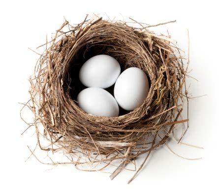 White Eggs In The Nest Stock Photo - Download Image Now - iStock