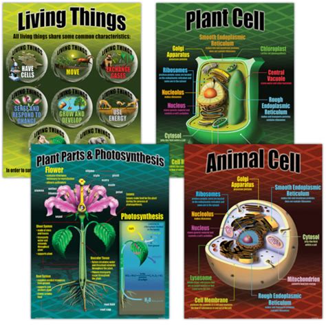 Life Science Poster Set - TCRP077 | Teacher Created Resources