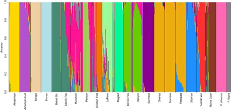 Applications and efficiencies of the first cat 63K DNA array | Scientific Reports