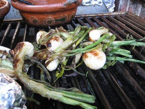 Grilled Green Onions | Mexican food recipes, Real mexican food, Food