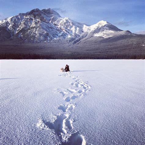 Snow Dome Coffee Bar, AB, Canada