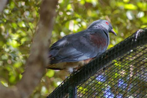 Sydney G's AP Environmental Science Blog : Biodiversity Hotspots: New ...