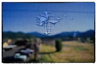window screen | “How many slams in an old screen door? Depen… | Flickr