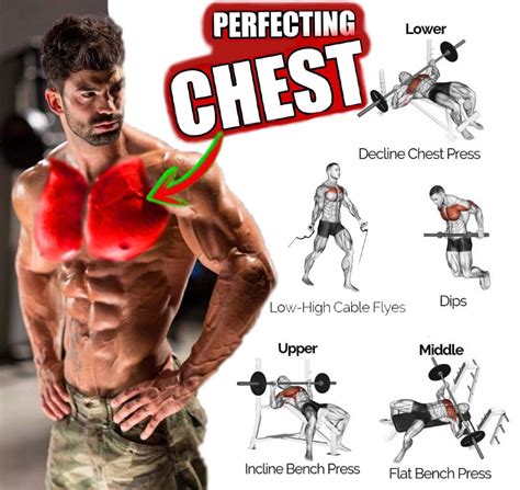 Pectoral Training Program for Chest Mass, Benefits, Tips