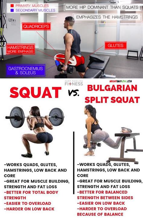 Bulgarian Split Squat | Guide