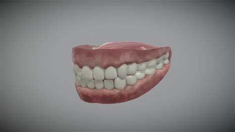 Human teeth - Download Free 3D model by Alexander Antipov (@Dessen ...