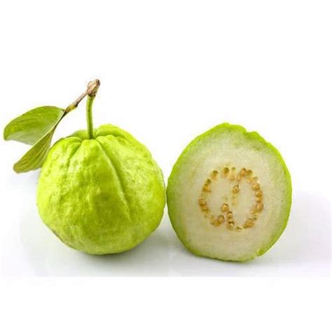 Green Guava Fruit at Rs 80/kilogram in Sawai Madhopur | ID: 19874090130