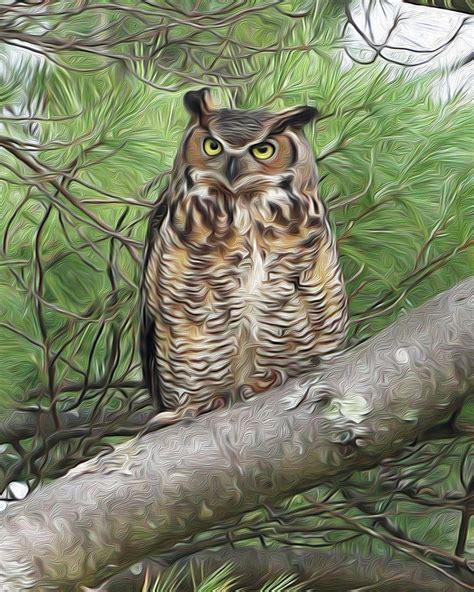 Great Horned Owl - Oil Paint Photograph by Carl Higgs - Pixels