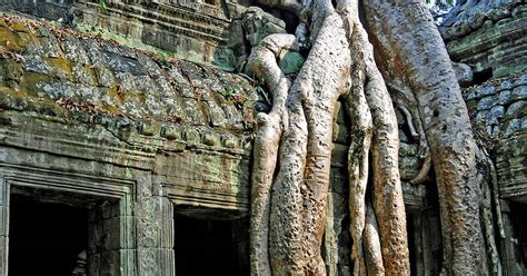 Ta Prohm Temple Guide - The Tomb Raider Temple - Just Siem Reap