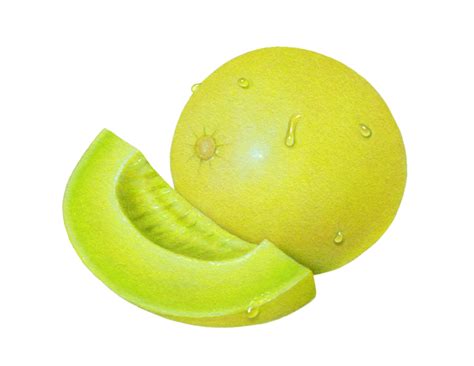 Honeydew clipart 20 free Cliparts | Download images on Clipground 2020