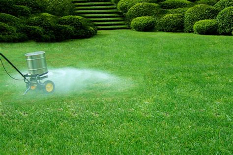 What Lawn Fertilizer Should I Be Using Now? - Houseman Services