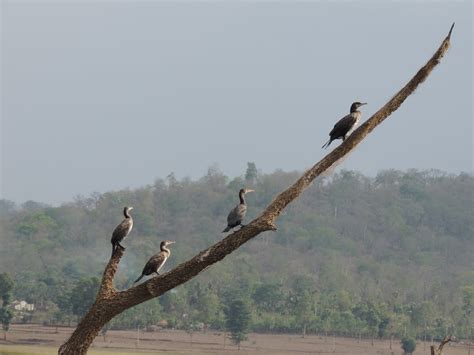 Kabini Part 2 - A Boat Ride