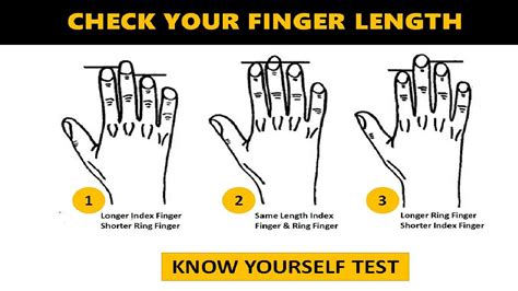 Know Yourself Test Your Finger Length Reveals Your True Personality Traits