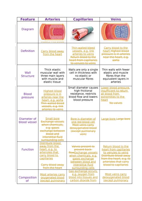 Comparison of arteries, capillaries and veins - Studocu