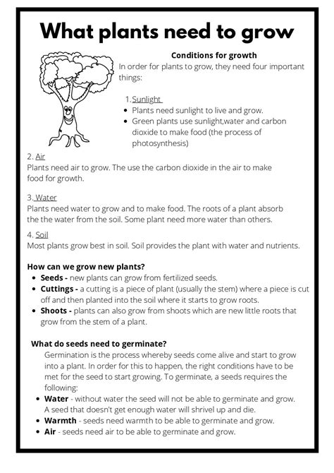 Natural Science & technology – What plants need to grow • Teacha!