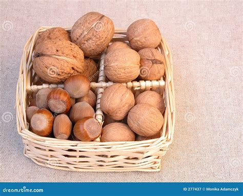 Walnuts and hazelnuts stock image. Image of walnut, brown - 277437