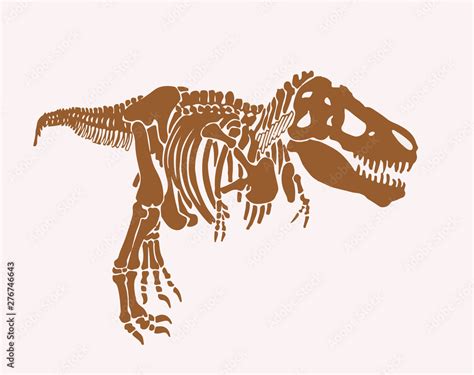 Graphical vintage sketch of tyrannosaurus skeleton,vector retro illustration, anthropology Stock ...