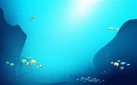 Fish Full HD Wallpaper and Background Image | 2560x1600 | ID:131499