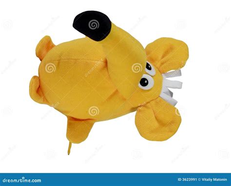 Yellow rat stock image. Image of animal, yellow, isolated - 3623991