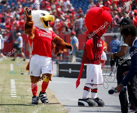 Benfica Mascot Sneaks Behind Ac Milan Editorial Stock Photo - Stock Image | Shutterstock