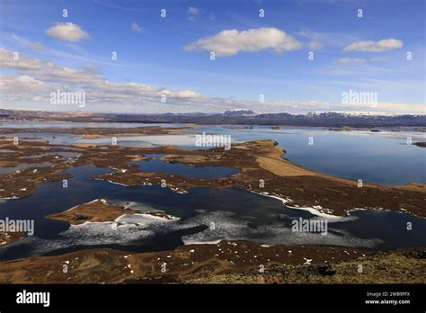 Mývatn is a shallow lake situated in an area of active volcanism in the north of Iceland, near ...