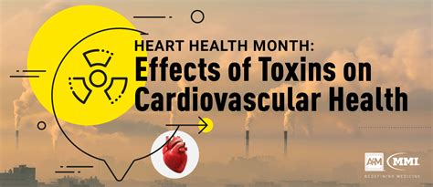 Heart Health Month: Effects of Toxins on Cardiovascular Health • A4M Blog