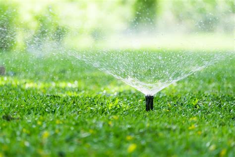 What You Should Know About Above Ground Irrigation Systems