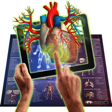 Interactive Smart Chart Human Anatomy | Solar System – International ...