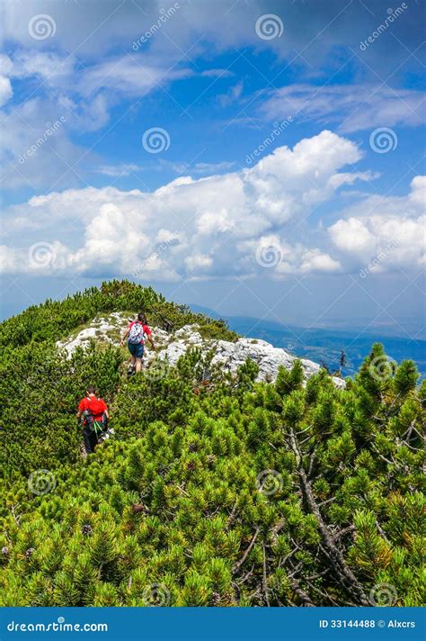 Hiking in the Mountains in the Summer Stock Photo - Image of backpacker, nature: 33144488