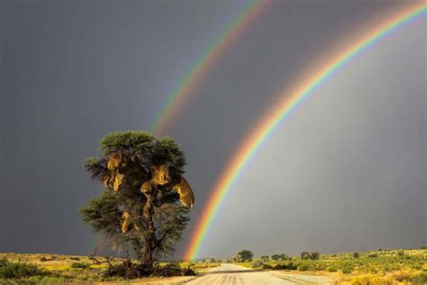 Can you get triple or quadruple rainbows? | New Scientist