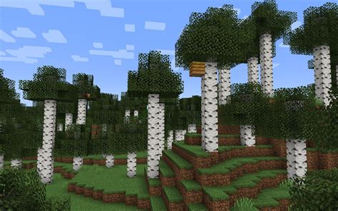 What changes might come to birch forest in Minecraft 1.19 The Wild Update?