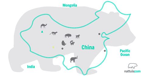 Following the Amazing Animals of China: an Eastern Mishmash of Biodiversity