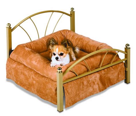 Fancy Dog Beds – WhereIBuyIt.com