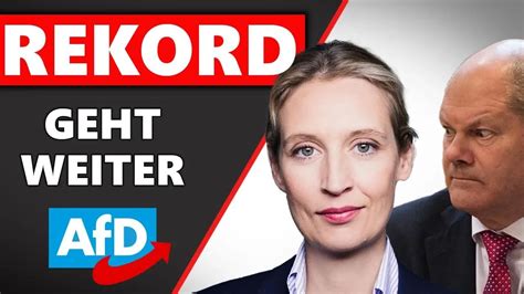 AfD Debatte | Sie legen weiter zu | AfD Verbot