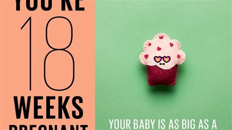 18 weeks pregnant | Symptoms, tips and more - Today's Parent