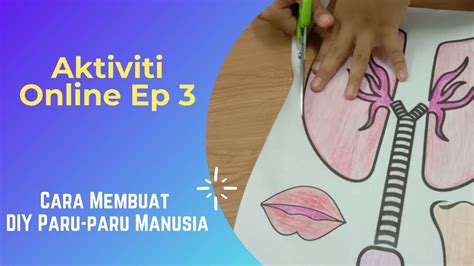 Cara buat paru-paru Diy | Aktiviti Kanak-kanak 4-6 tahun. - YouTube