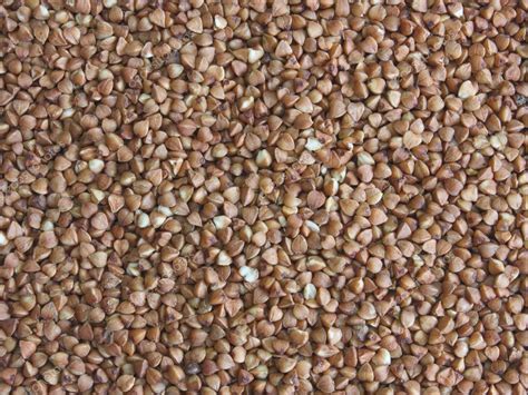 Buckwheat seeds — Stock Photo © aarrows #3876784