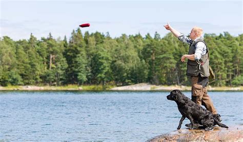 Hunting Dog Training: The Ultimate Guide with a Timeline