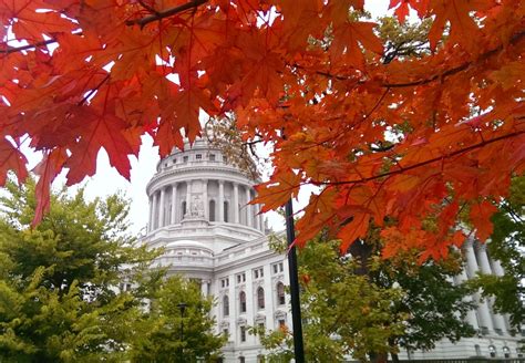 Fall Color Report | Peak Foliage Map | Travel Wisconsin | Wisconsin travel, Foliage map ...