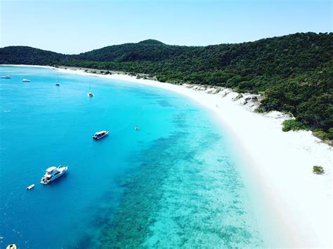 Whitehaven Beach Camping Tour | Experience Paradise